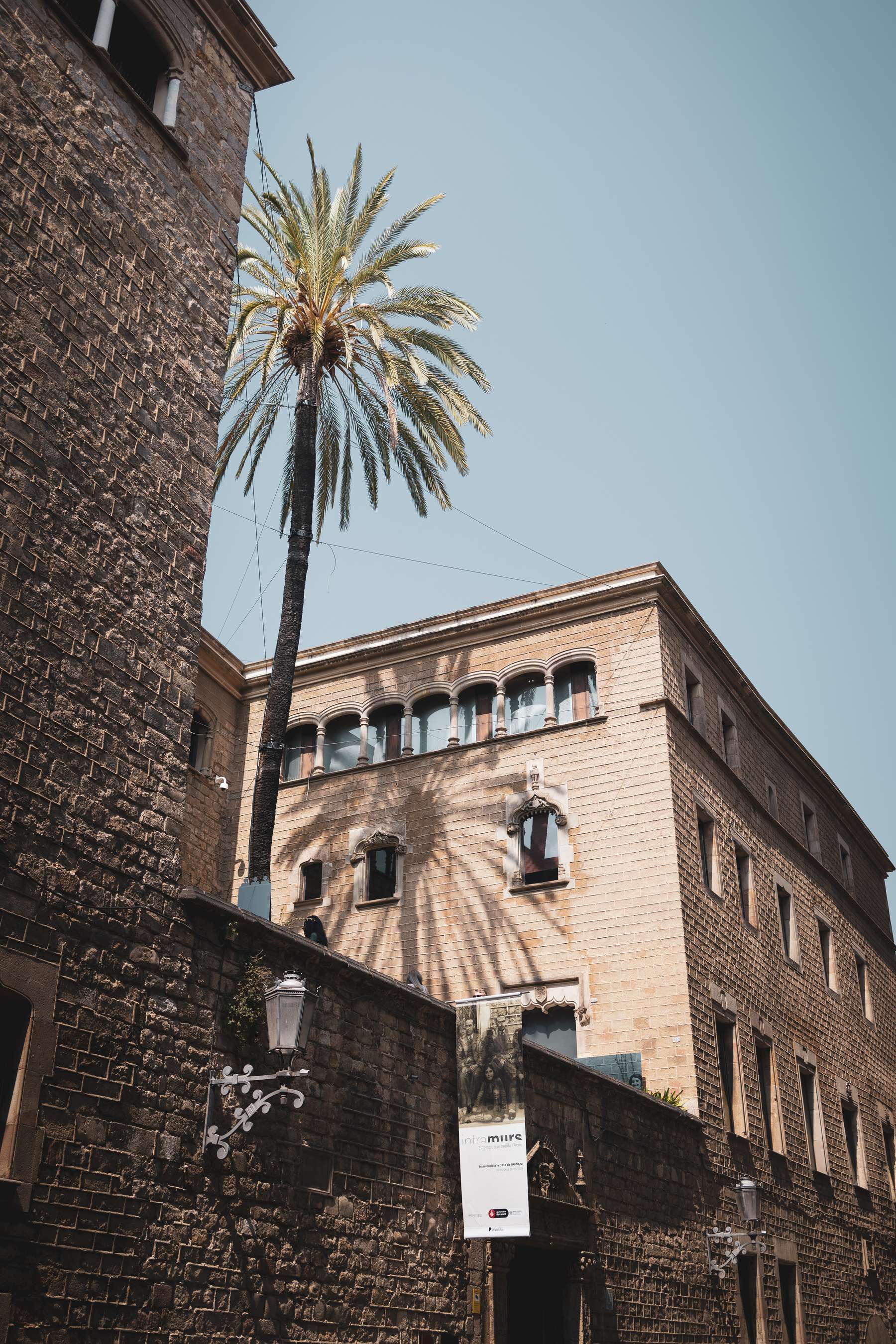 The scene captures a sunlit urban setting where a tall palm tree rises alongside a textured stone building. The palm's shadow stretches across the wall, creating a beautiful contrast against the warm stone. Windows adorned with decorative frames are visible in the upper part of the wall, while a street lamp and a banner hint at the area's cultural significance. The clear blue sky overhead completes the tranquil atmosphere.