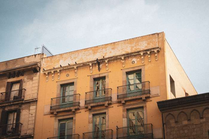 A weathered yellow building with intricate architectural details stands against a pale blue sky. Several balconies, adorned with ornate railings, offer glimpses into the life within. Pigeons perch on the rooftop and balconies, adding a sense of liveliness to the tranquil scene. The faded paint reveals the texture of history, contrasting with the vibrant, living elements of the urban environment.