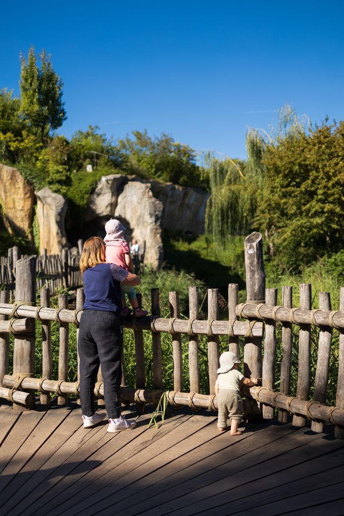 A child in a pink sweater and white hat being held up by an adult to look over a rustic wooden fence, while another small child in a beige hat and green pants stands facing the fence, at a park with lush greenery and rock formations in the background under a clear blue sky.